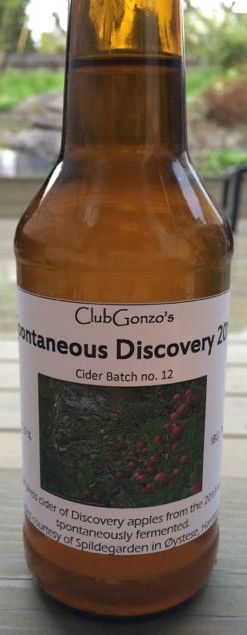 ClubGonzo's Spontaneous Discovery 2013, cider batch 12.