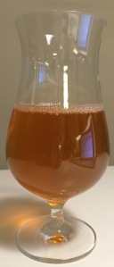 An orange body with a few short-lived bubbles on top.